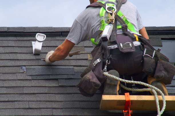 Best Roof Restoration Services  in Ligh, NE